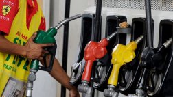 Бензин в Рязани за май подорожал на 0,2%