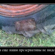 25_04_13_24_1.jpg