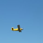 p1140495_1.jpg