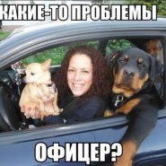 01_08_13_44_1.jpg