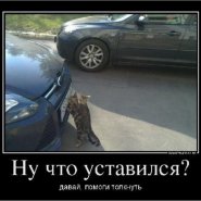 08_08_13_23_1.jpg