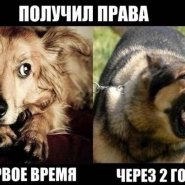 15_08_13_28_1.jpg