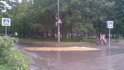 «Охота на зебру» продолжается