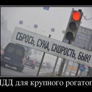 10_10_13_04_1.jpg
