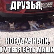 10_10_13_53_1.jpg