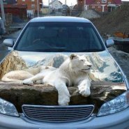17_10_13_09_1.jpeg