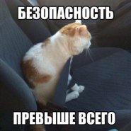 07_11_13_32_1.jpg