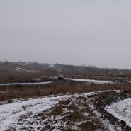 p1240266_1.jpg