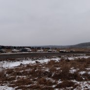 p1240385_1.jpg