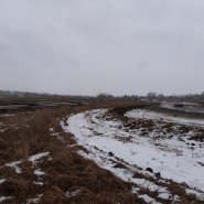 p1240603_1.jpg