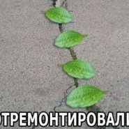 27_03_14_04_1.jpg