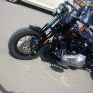 cam01206_1.jpg