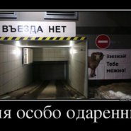 29_11_14_36_1.jpg