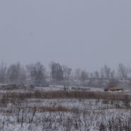 p1330162_1.jpg