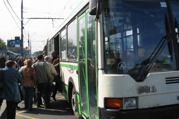 В Рязани введены два сезонных автобусных маршрута