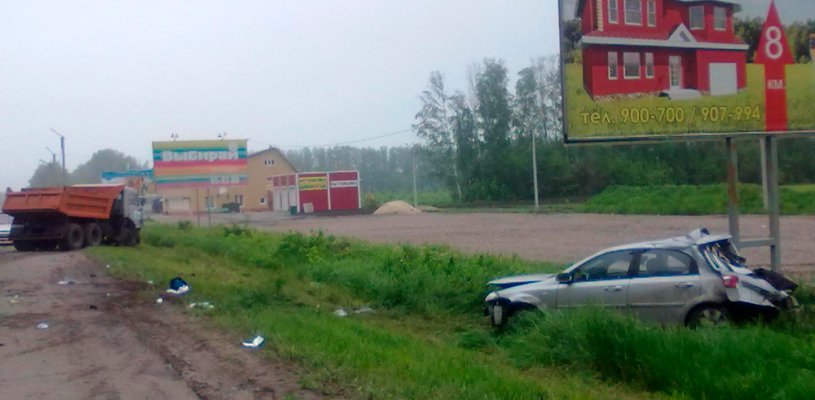 Москвичка заговорилась за рулем в Рязанской области
