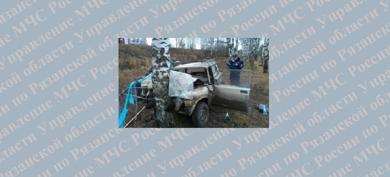 В ДТП около деревни Мягково пострадало два человека