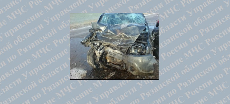В Пронском районе столкнулись Renault Sandero и Ford