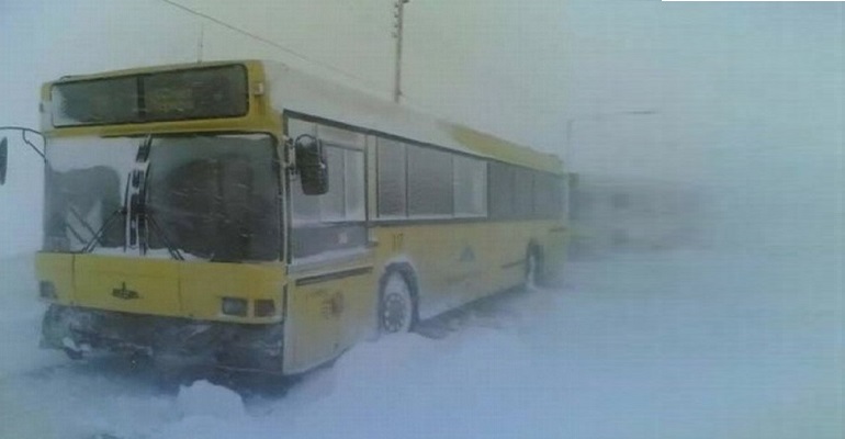 Акция по бесплатному проезду в общественном транспорте является однодневной