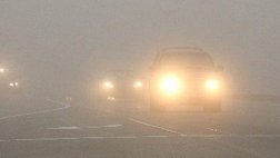 Завтра в отдельных районах Рязанской области туман и сильные осадки