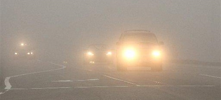 Завтра в отдельных районах Рязанской области туман и сильные осадки