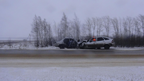 В Скопинском районе на М6 столкнулись два автомобиля. Погибло два человека и 5 травмировано