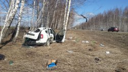 Житель Тулы на Renault Duster опрокинулся в кювет в Захаровском районе