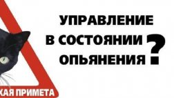 30-летний рязанец ответит по уголовной статье за нетрезвое вождение