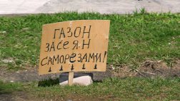За неправильную парковку оштрафовано 42 человека