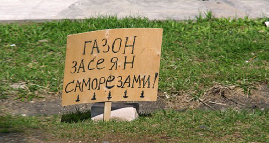 За неправильную парковку оштрафовано 42 человека