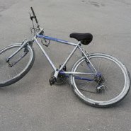 service4(3)-800x600.jpg