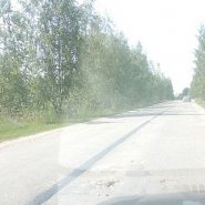 154.jpg
