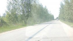 В Рязанской области оперативно закрашивают разметку, нанесенную поверх ям