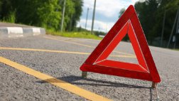 ГИБДД работает на месте ДТП с участием грузовика и лося