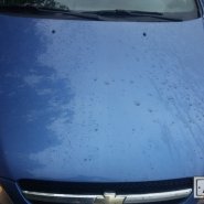 20170731_070224-min.jpg