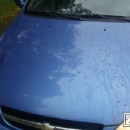 20170731_070227-min.jpg
