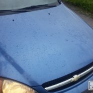 20170731_070231-min.jpg