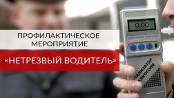 Рязанская ГИБДД обещает провести масштабные рейды по выявлению нетрезвых водителей
