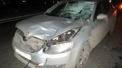Прошедшие сутки в регионе пополнили статистику аварийности происшествием с участием пешехода с летальным исходом