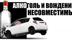 ГИБДД напомнило как и для чего проводятся рейды "Нетрезвый водитель"