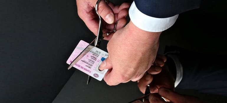 В МВД разработали новое водительское удостоверение и свидетельство о регистрации ТС