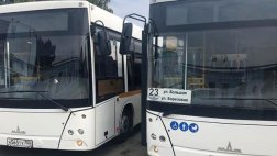 С 30 сентября на городские маршруты выйдут дополнительно 20 автобусов