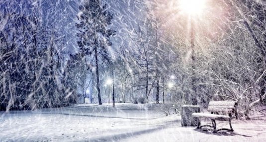 Выпадение снега в Рязани продолжится до конца недели