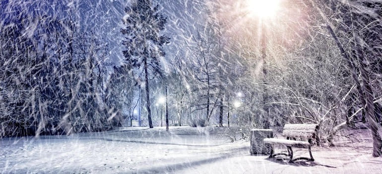 Выпадение снега в Рязани продолжится до конца недели