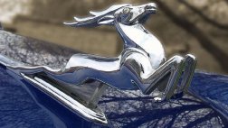 Рязанская прокуратура защитила "Бегущего оленя"