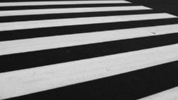 15 апреля ГИБДД проводило рейд на пешеходных переходах Рязани