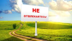 Депутаты предложили ограничить рекламу вдоль скоростных магистралей