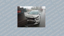 В Шиловском районе на 287-ом М5 в ДТП погибло два человека - водитель и пассажир автомобиля Volkswagen из Пензенской области