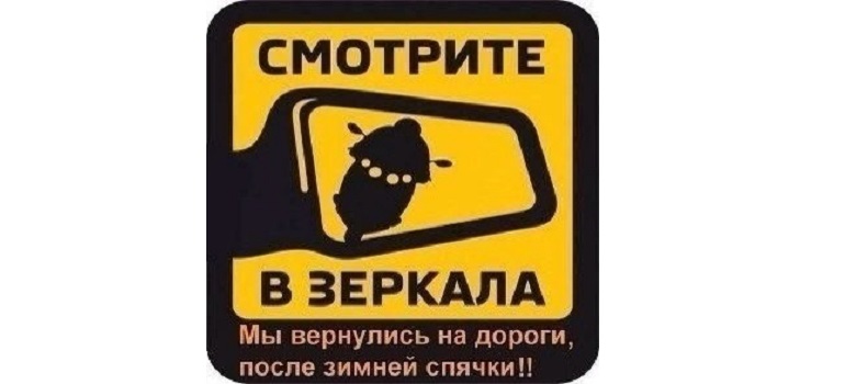 По вине водителей мототранспорта произошло 116 ДТП с пострадавшими