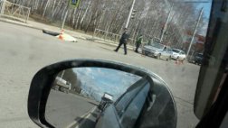 ГИБДД устанавливает личность погибшего на Московском шоссе пешехода